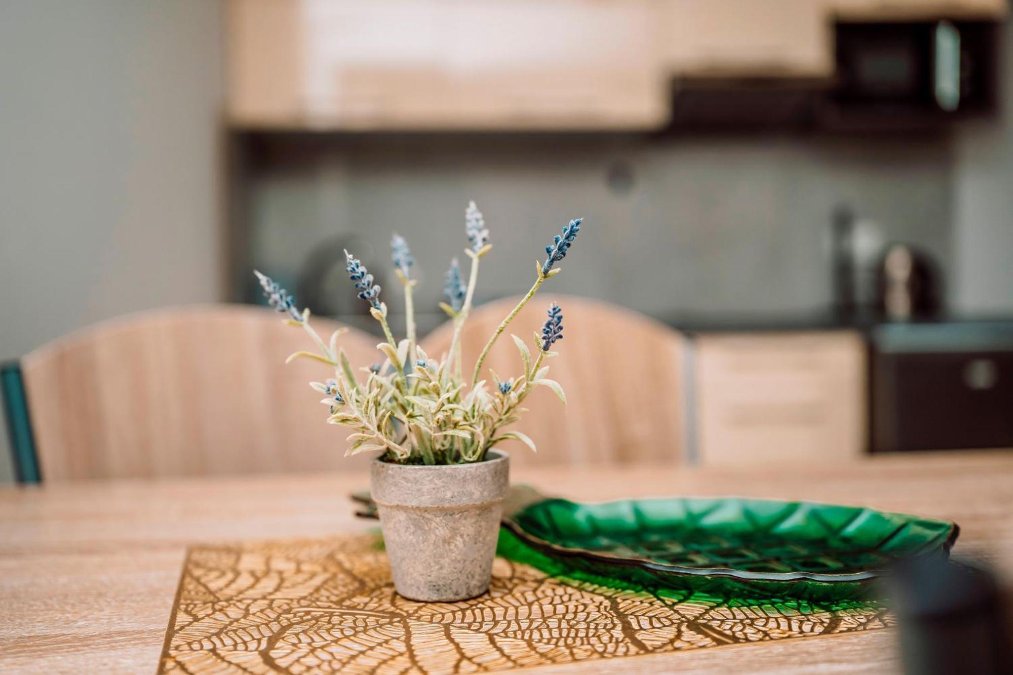 Apartamenty Majer Leba Ngoại thất bức ảnh